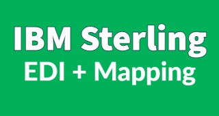IBM Sterling B2B Integrator Mapping Training